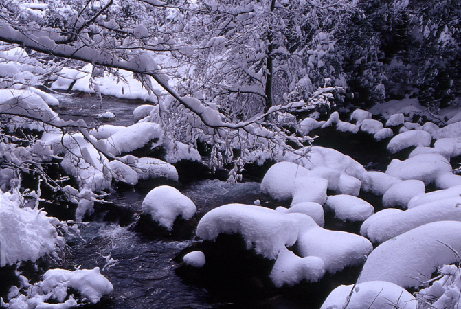 [原创]春天来了，别忘了雪曾经带给你的快乐！