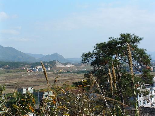 [天台特产]陆续添加中（已更新）