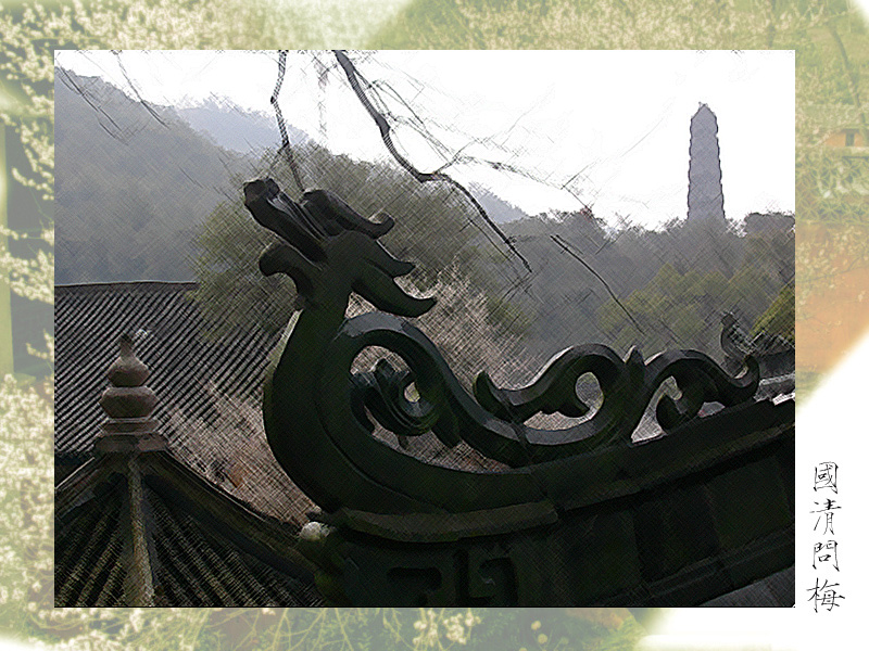 [原创]国清问梅