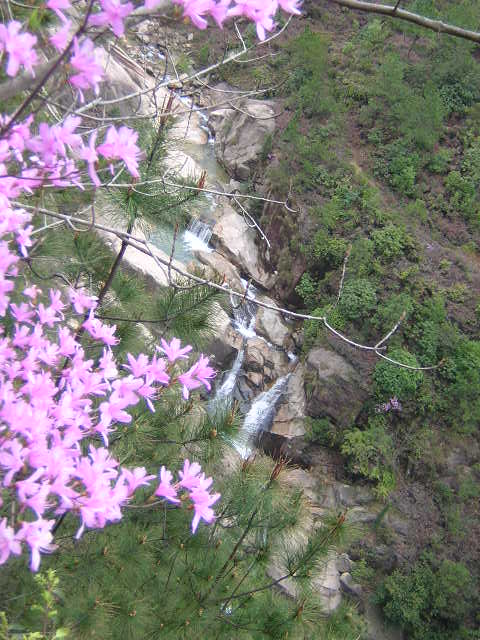 暴走桃源春晓