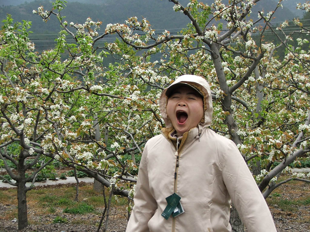 菜花黄了～～～～～