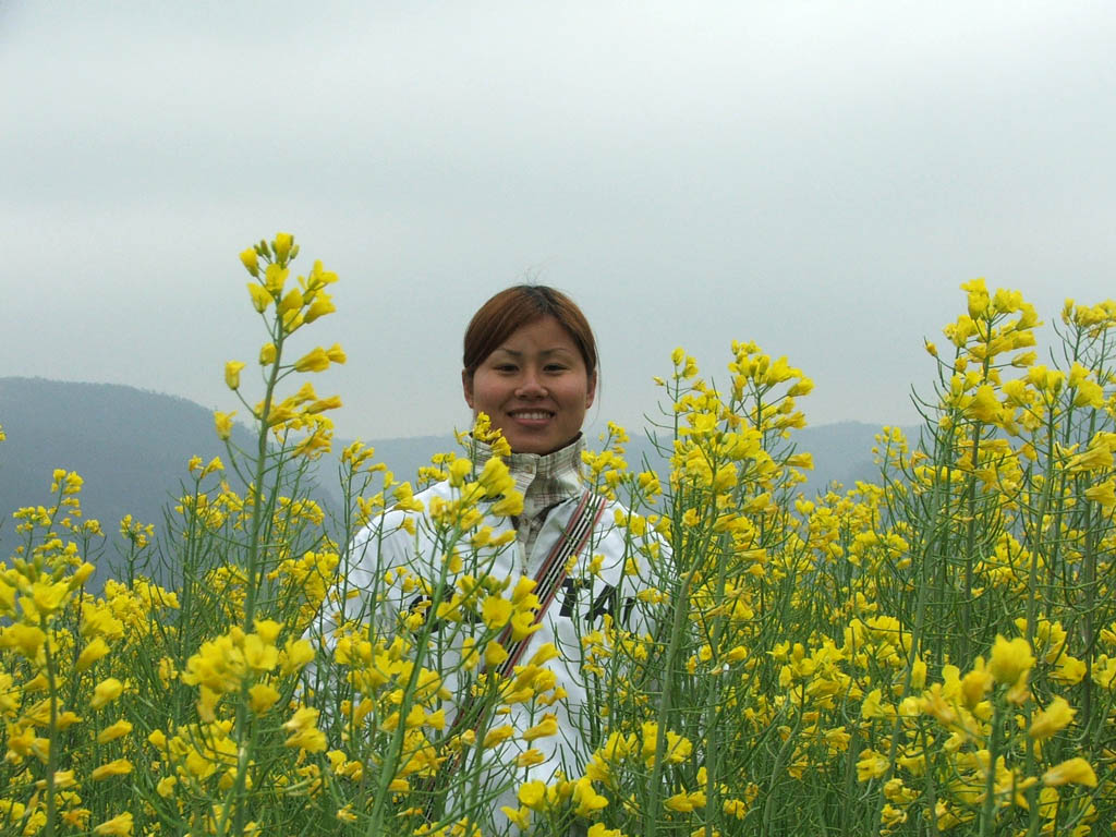 菜花黄了～～～～～