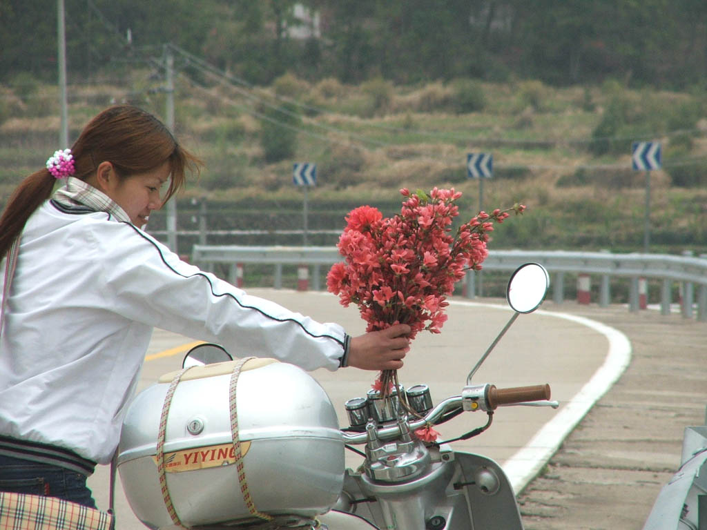 菜花黄了～～～～～