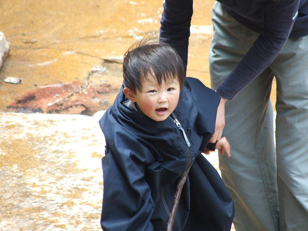 樱子！！！！！