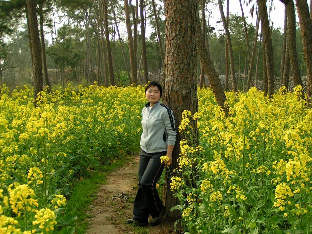 2005.4.2一天的活动