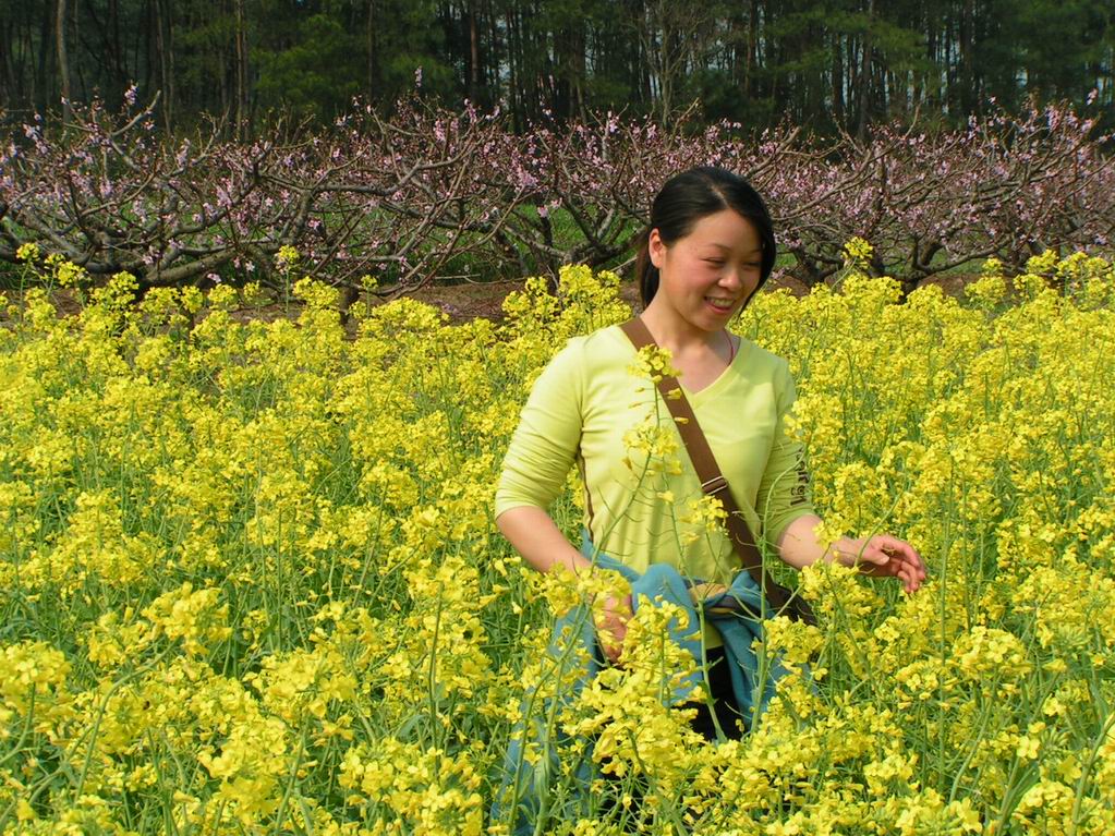 2005.4.2一天的活动
