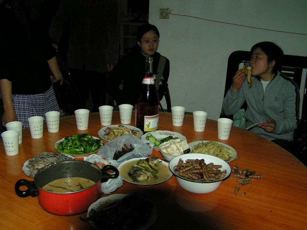 2005.4.2一天的活动