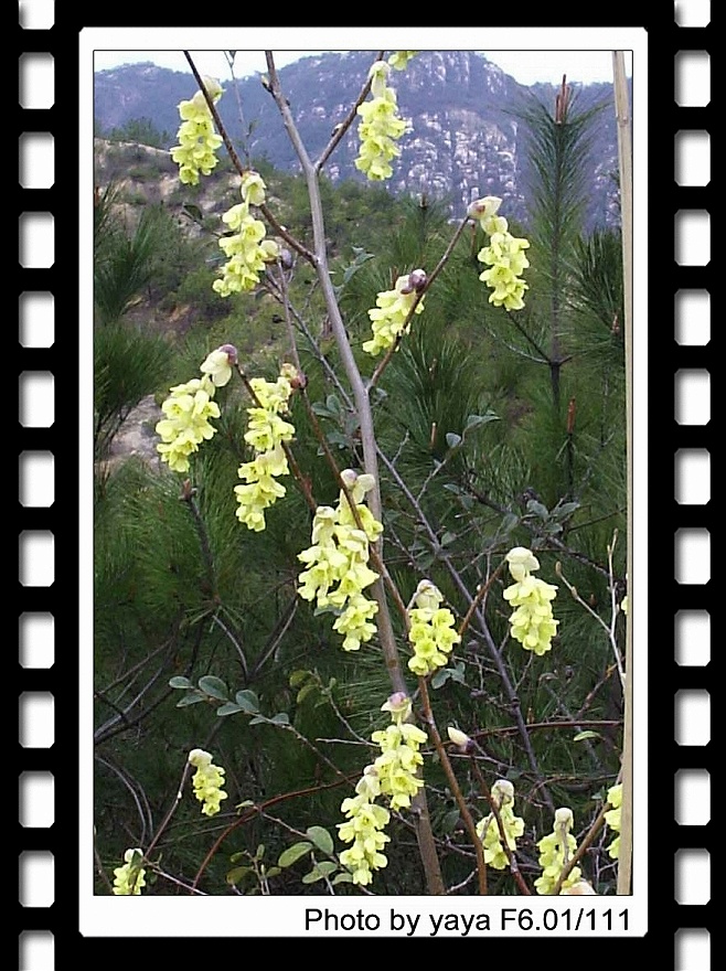 记忆电影花絮-------扫墓之行