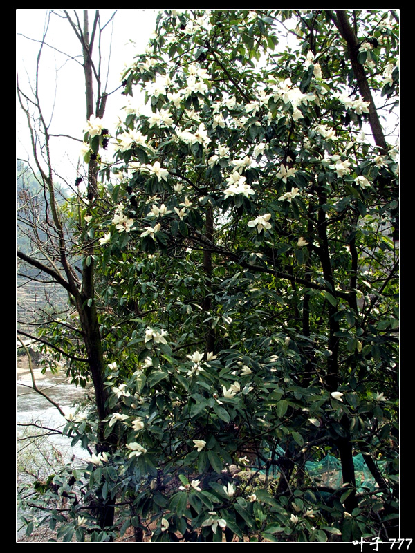 05.4.2-3 寒山湖-天柱-龙溪之行