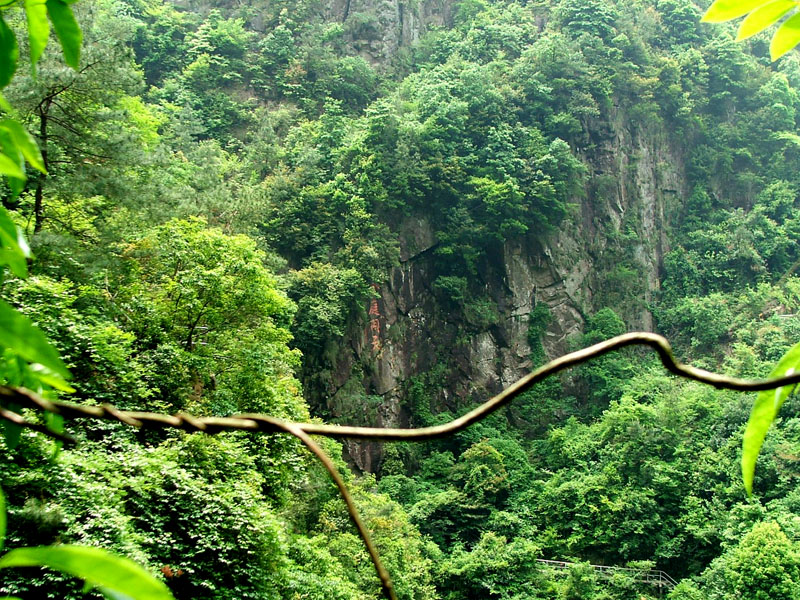 5.8百丈休闲感激游