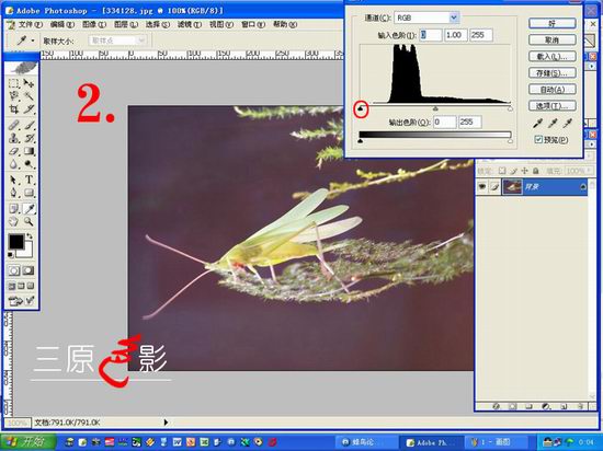 PHOTOSHOP7.0简单制图办法