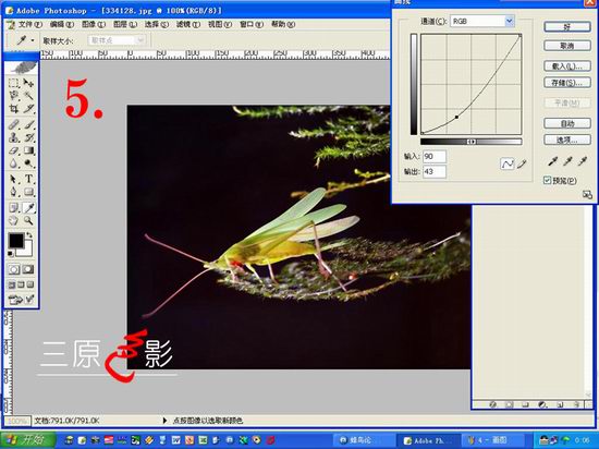 PHOTOSHOP7.0简单制图办法