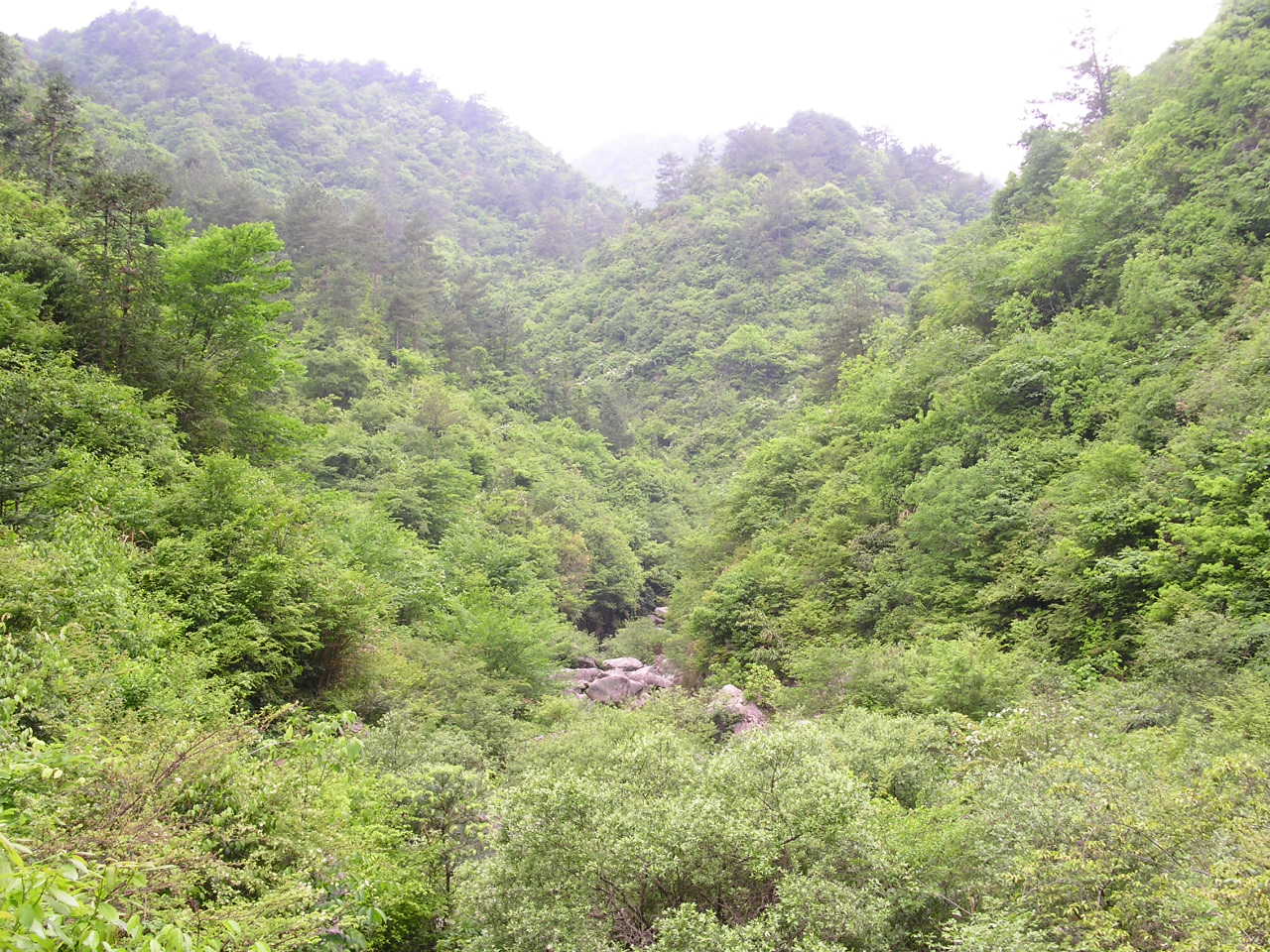 大别山初印象