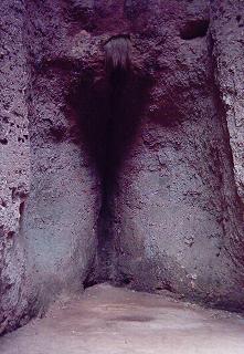 世界上最大的性器官