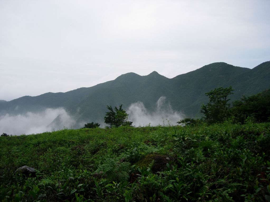 2005．6．11-12苍山顶之行的PP之二，