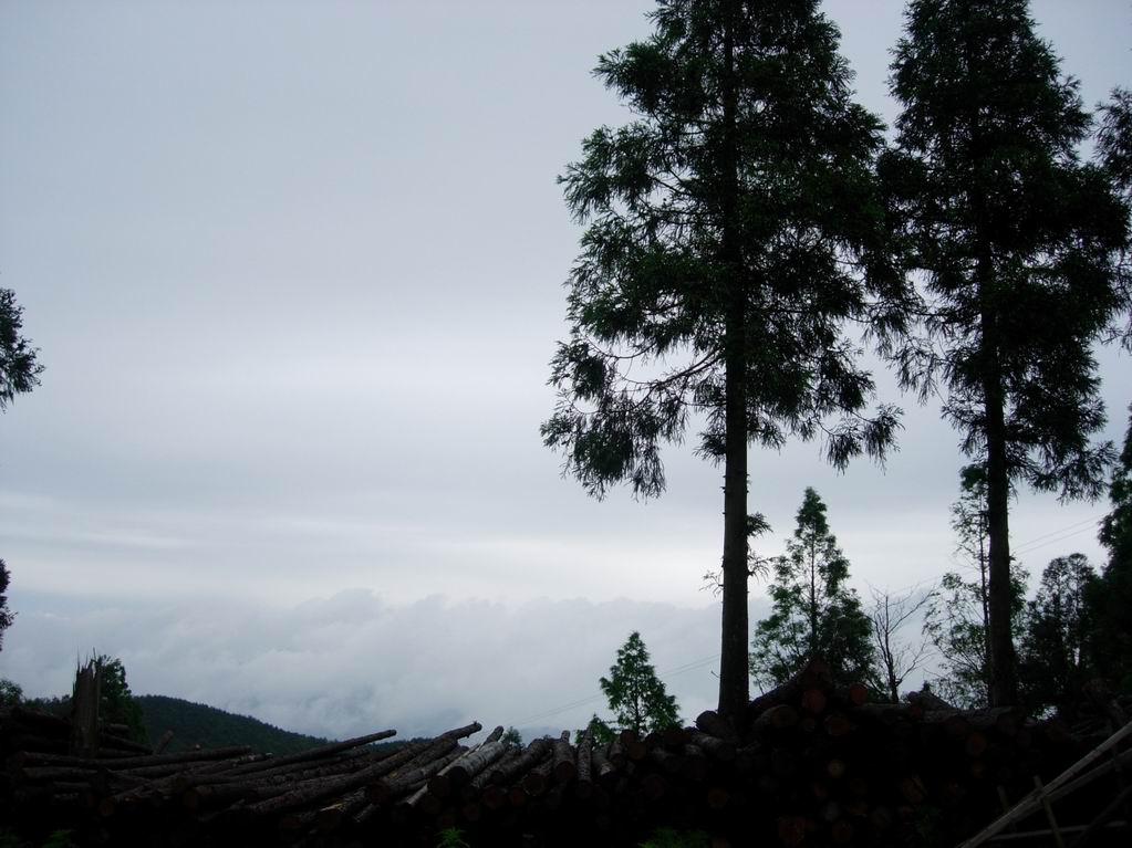 2005．6．11-12苍山顶之行的PP之二，