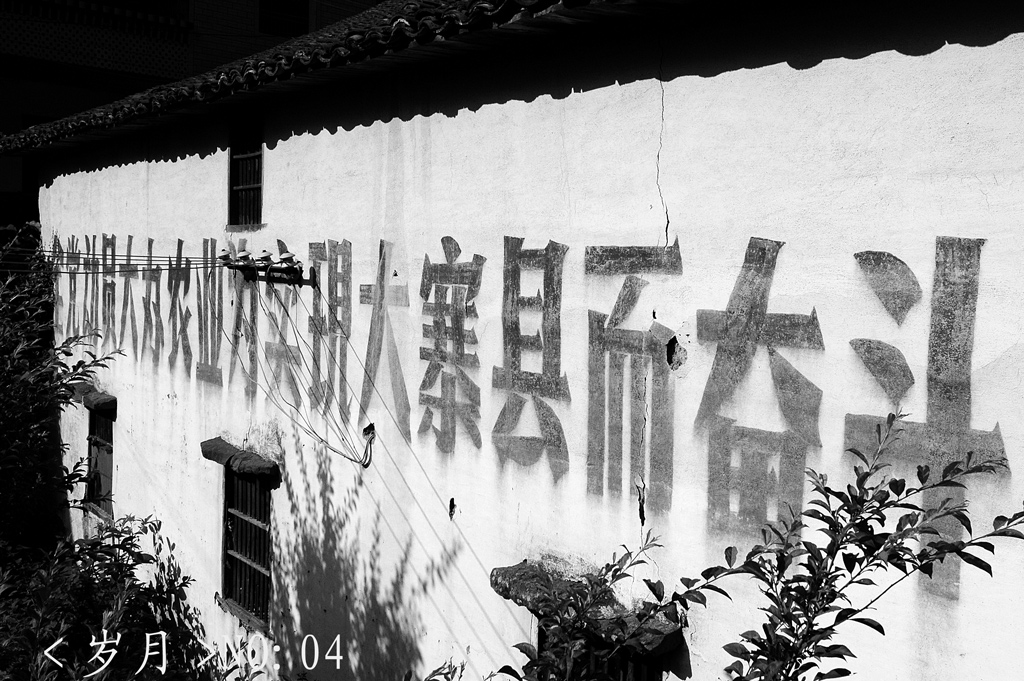 [原创]组照!