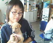 关于如何上传头像，签名档的图片