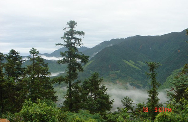 富显云海  山隐宝藏