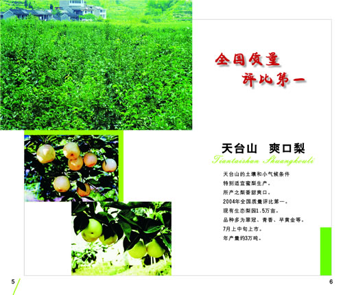 天台山特产，正在更新中……