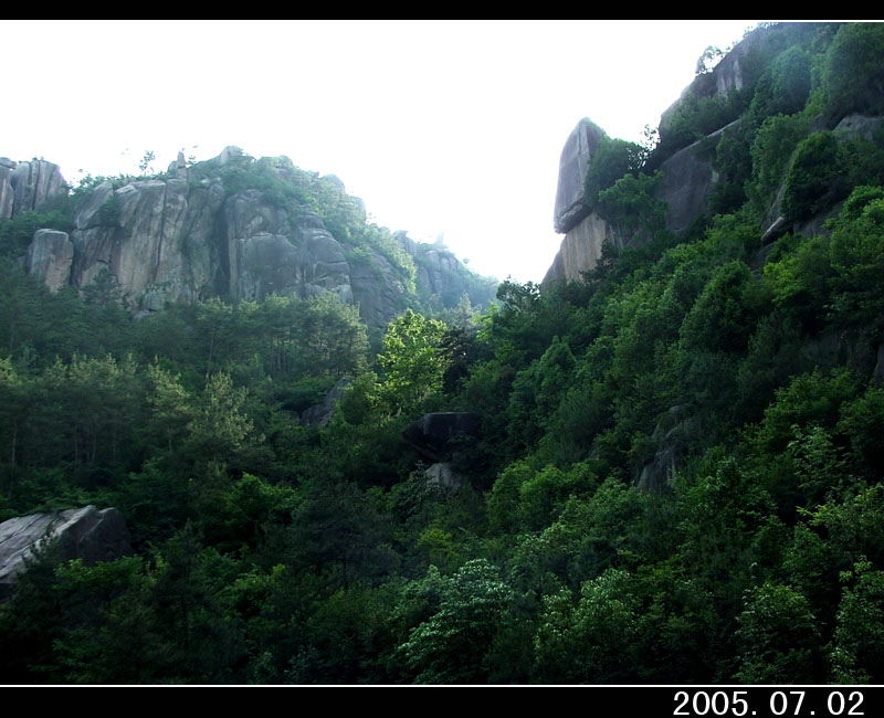 050702百丈溯源