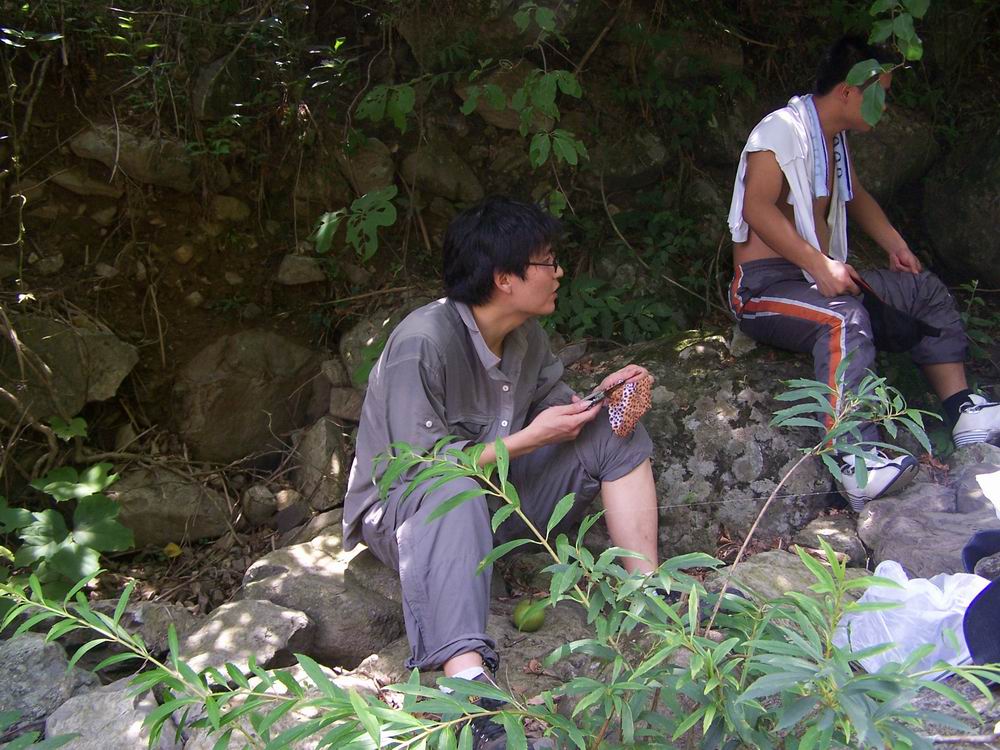 始丰溪探源
