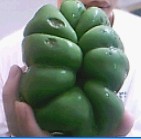 这样子不错吧