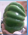 这样子不错吧