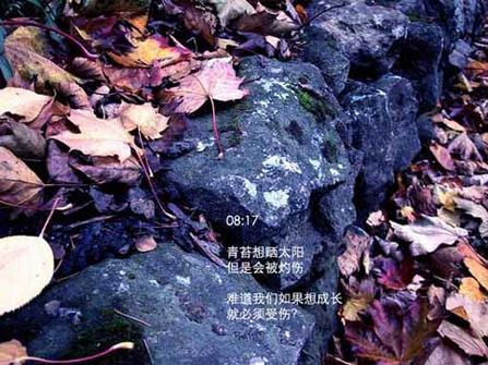 唯美贴图 （不断更新）