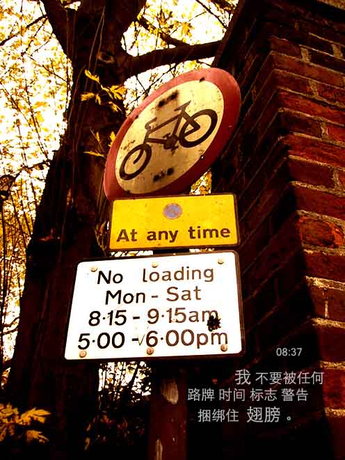 唯美贴图 （不断更新）