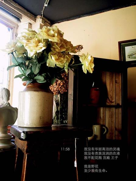 唯美贴图 （不断更新）