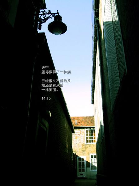 唯美贴图 （不断更新）