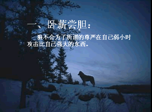 唯美贴图 （不断更新）