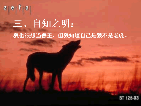 唯美贴图 （不断更新）