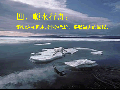 唯美贴图 （不断更新）