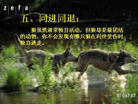 唯美贴图 （不断更新）