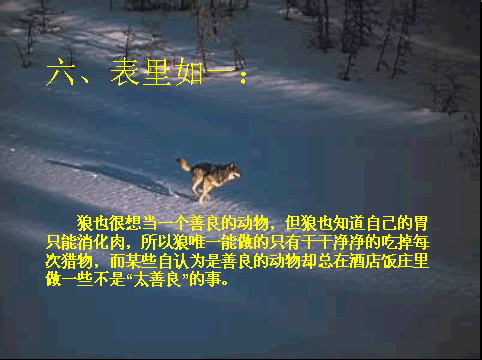 唯美贴图 （不断更新）