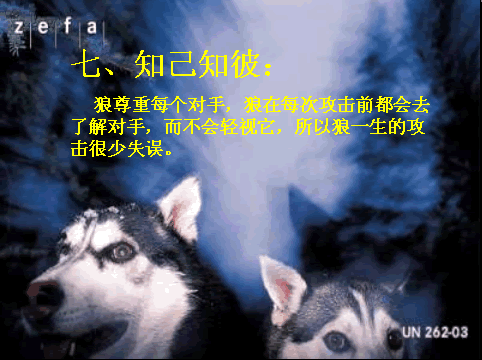 唯美贴图 （不断更新）