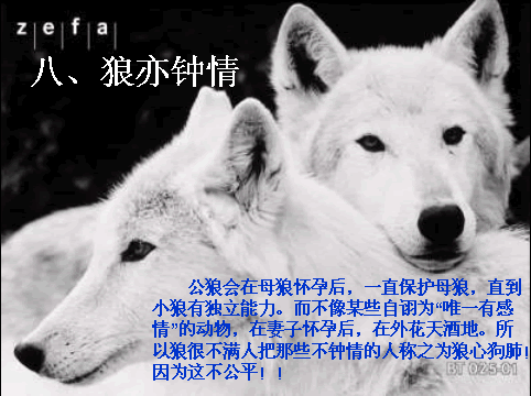 唯美贴图 （不断更新）
