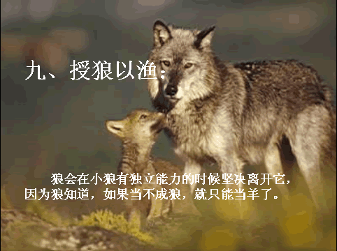 唯美贴图 （不断更新）