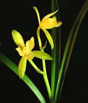 关于如何上传头像，签名档的图片