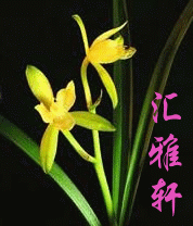 关于如何上传头像，签名档的图片