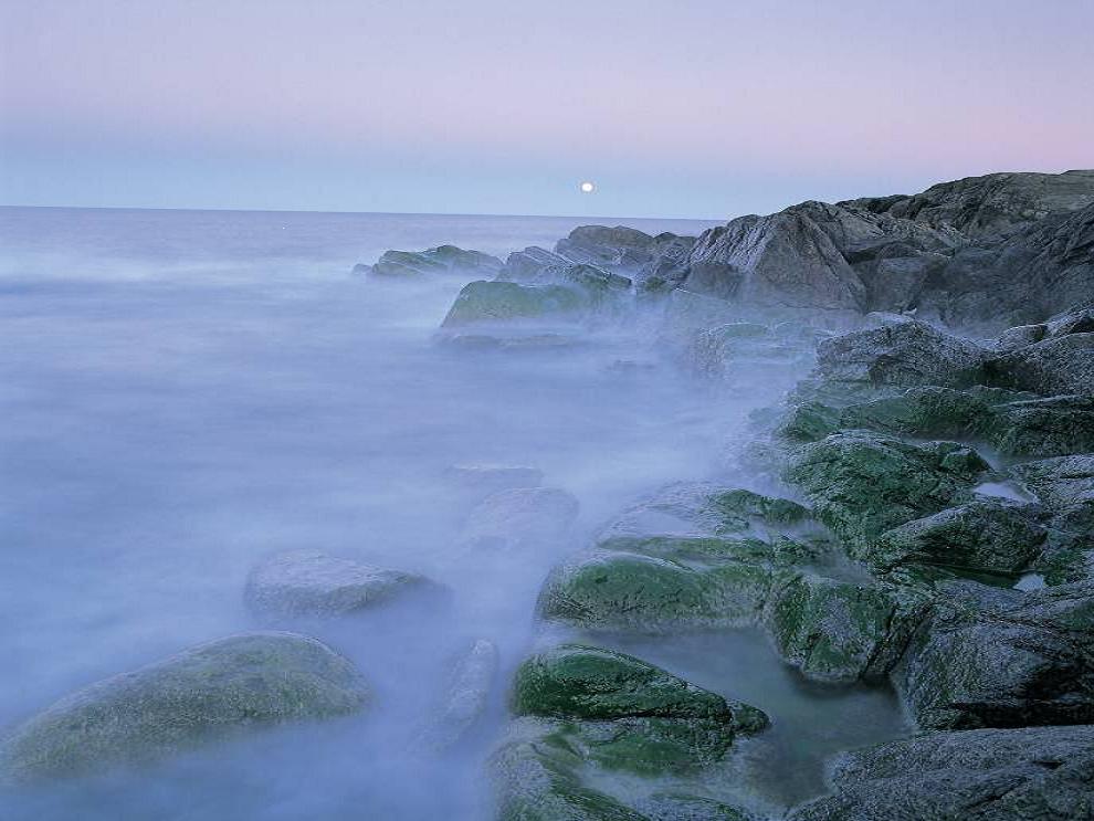 关于如何上传头像，签名档的图片