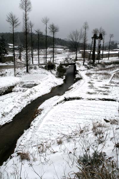 2006年的第一场雪