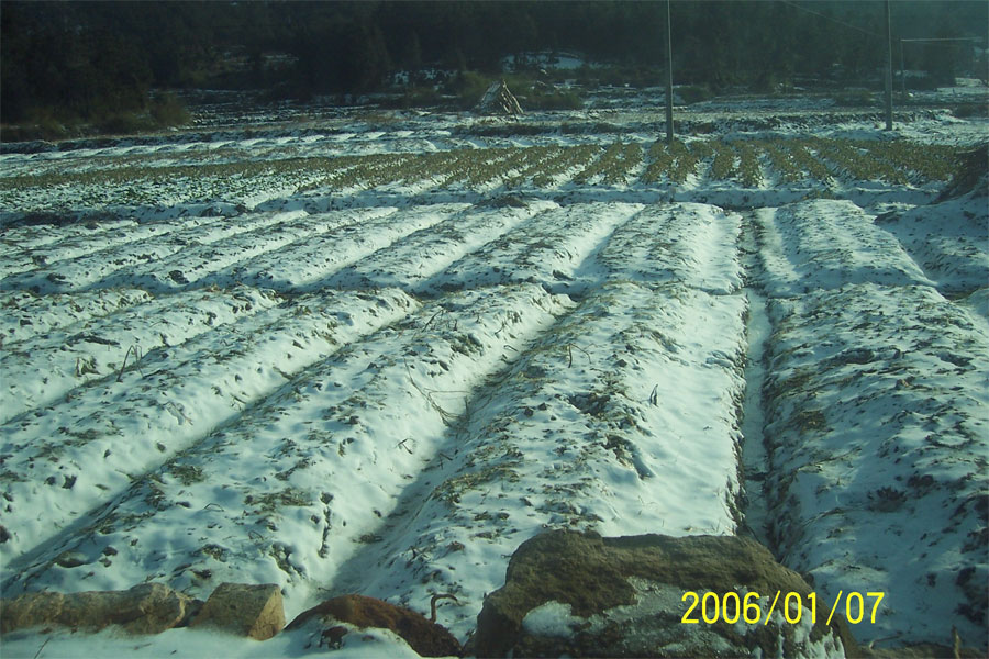 2006年的第一场雪