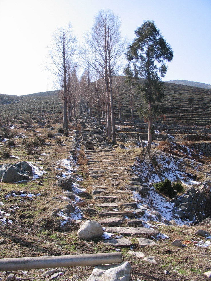 小盏，上年糕——苍山看雪归来图片展