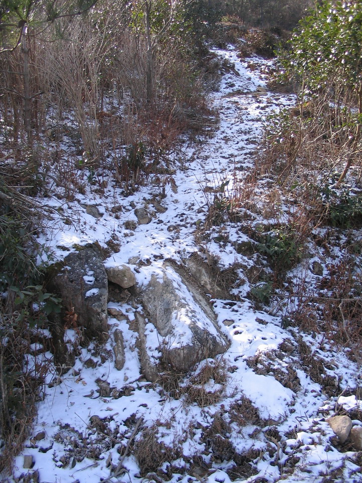 小盏，上年糕——苍山看雪归来图片展