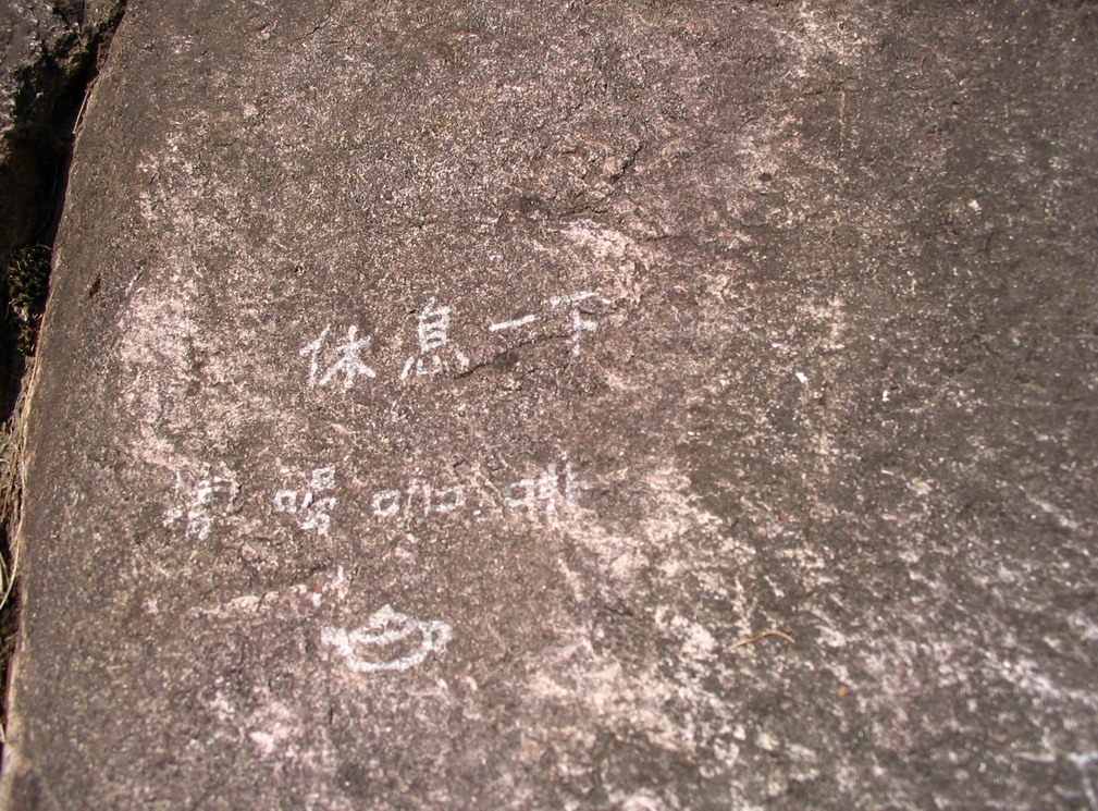 小盏，上年糕——苍山看雪归来图片展
