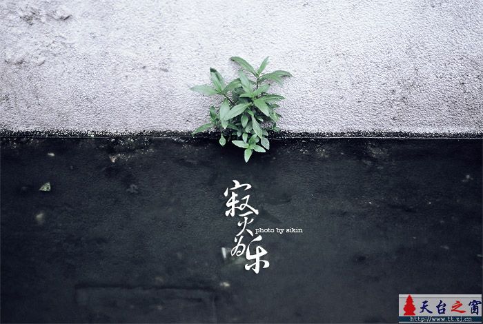 寂灭为乐 [二］