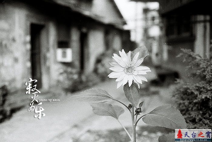 寂灭为乐 [二］